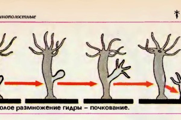 Кракен даркнет маркетплейс