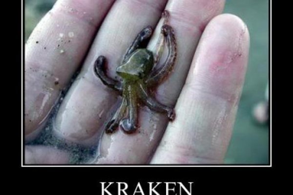 Kraken даркнет что это