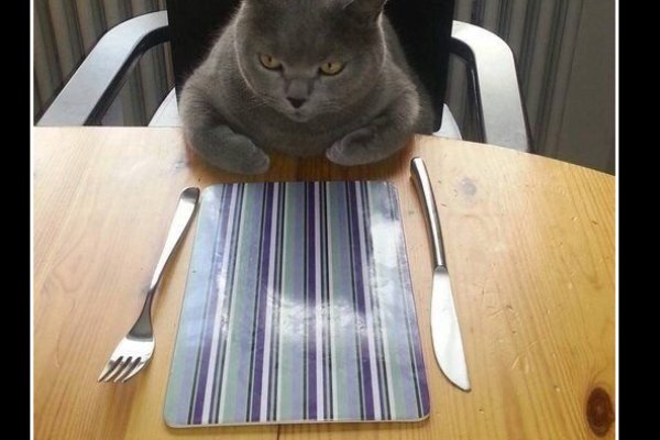 Кракен наркотики россия