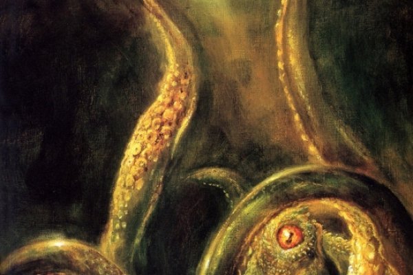 Kraken 2025 ссылка