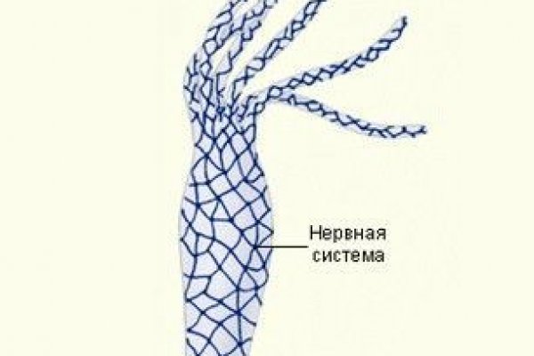 Кракен сайт биз